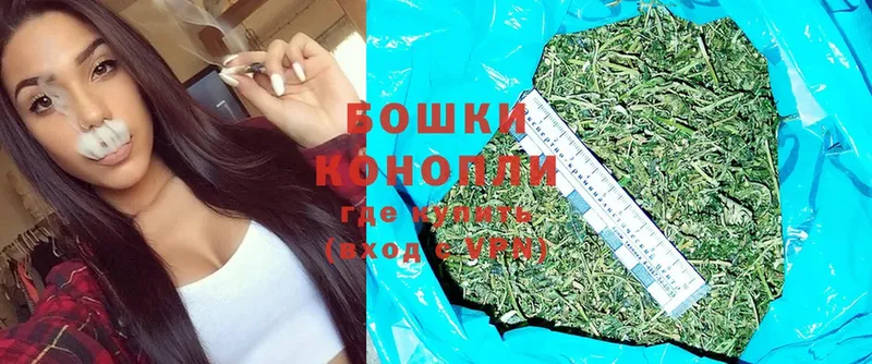 Бошки марихуана THC 21%  блэк спрут как зайти  Бор 